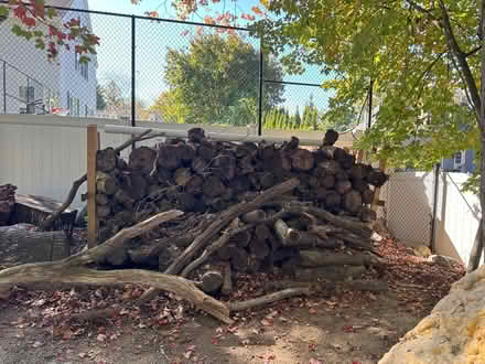 Photo of free Wood (Lexington) #1