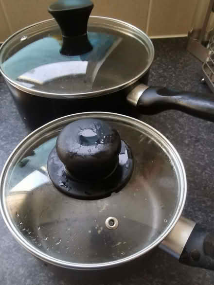Photo of free a big deep pan and a small deep pan (Newfield Green S14) #1