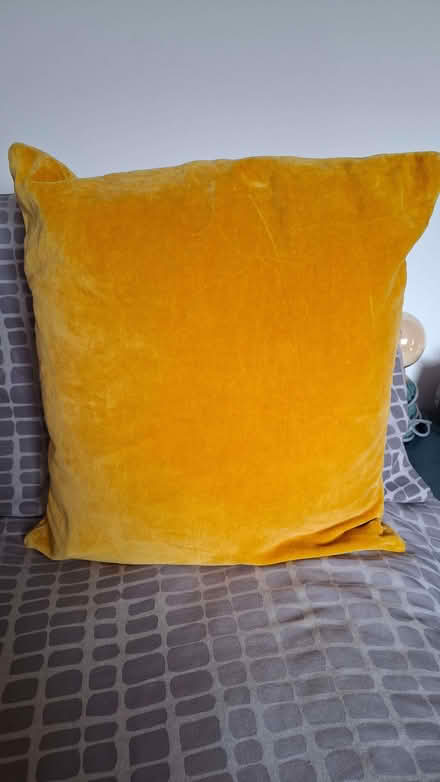 Photo of free Pair of mustard yellow velvet cushions (Caversham RG4) #2