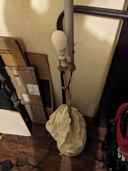 Photo of free Standing Lamp (functional) (Silver Spring) #3