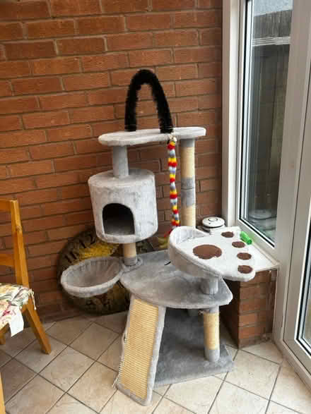 Photo of free Cat house (Cv11) #2