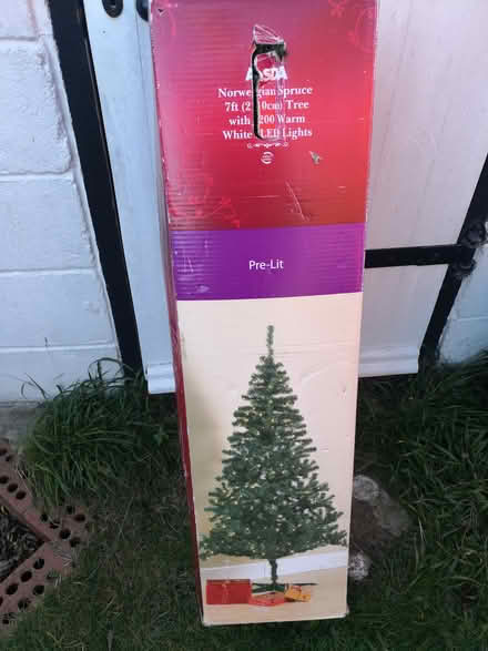 Photo of free Christmas Tree (CT10) #1