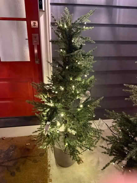 Photo of free Decorative holiday trees (Media 19063) #4