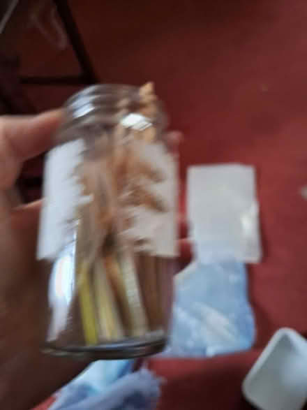 Photo of free Long cocktail stick for crafts? (GL51) #1
