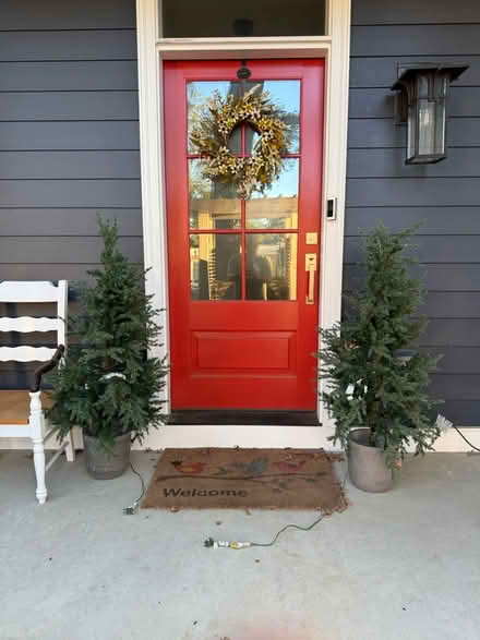 Photo of free Decorative holiday trees (Media 19063) #1