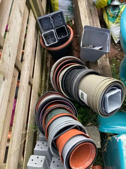Photo of free plant pots (Starbeck HG2) #1