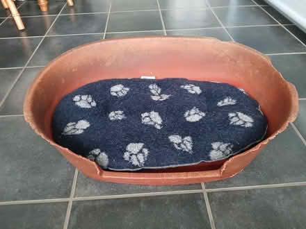 Photo of free Dog basket (S17 (Dore)) #1