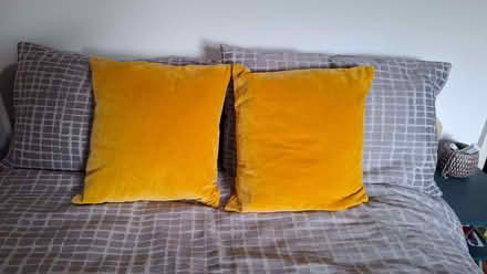 Photo of free Pair of mustard yellow velvet cushions (Caversham RG4) #1