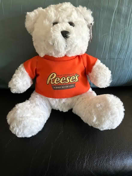 Photo of free New Teddy Bear - Last Chance (Erin Mills) #1