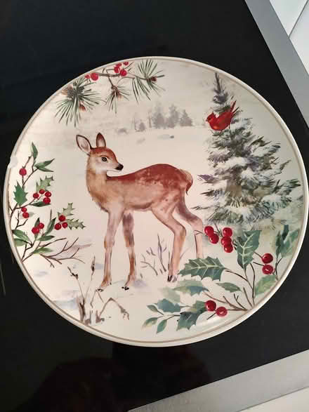 Photo of free 9" plate (Odenton) #1