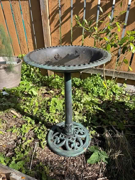 Photo of free Plastic bird bath (Shoreline) #1
