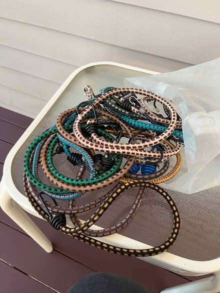 Photo of free Bungee cords (Winchester, west side) #1
