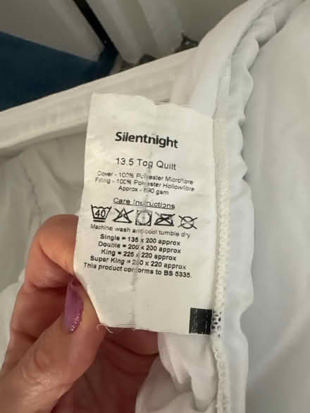 Photo of free Double duvet 13.5 tog (SW11 Battersea) #2