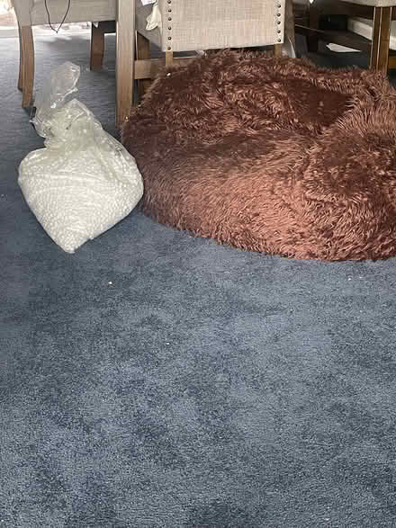 Photo of free Beanbag chair (Severna park) #1