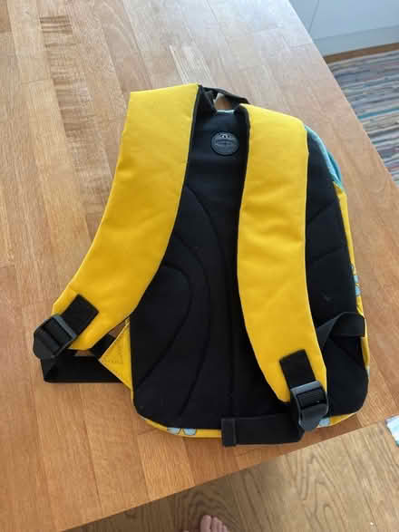 Photo of free Brownies rucksack and bag (Woodley RG6) #2