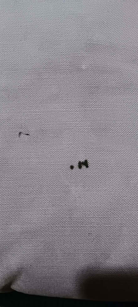 Photo of free two large cushions (Bussage GL6) #3