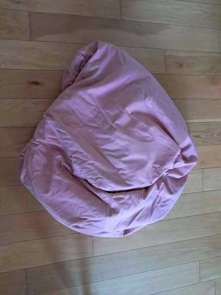 Photo of free Old bean bag. Pet Bedding? (Watton at Stone SG14) #1