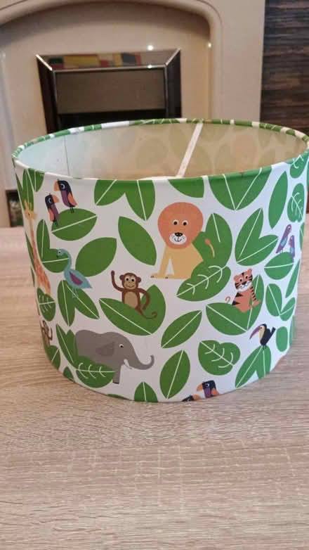 Photo of free 25 cm Light shade (Stockport) #1