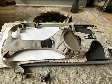 Photo of free Dog Harness (Hollins BL9) #1