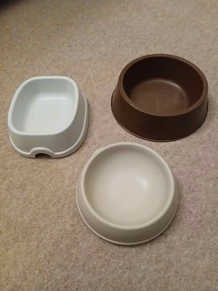 Photo of free Plastic dog bowls (S17 (Dore)) #1