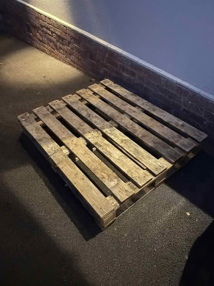 Photo of free Pallet (Glastonbury BA6) #1