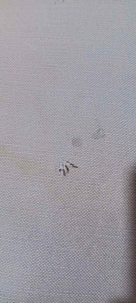 Photo of free two large cushions (Bussage GL6) #2