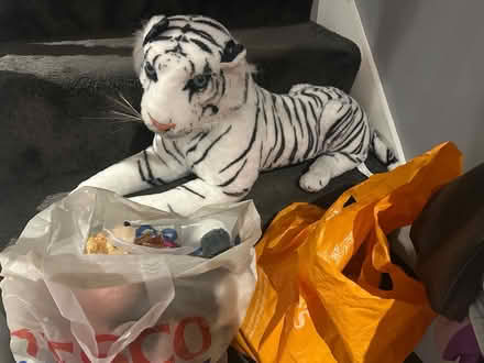 Photo of free Toys (Hampton TW12) #1