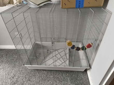 Photo of free 2 Platform Rat Cage (Upper St John Street WS14) #1