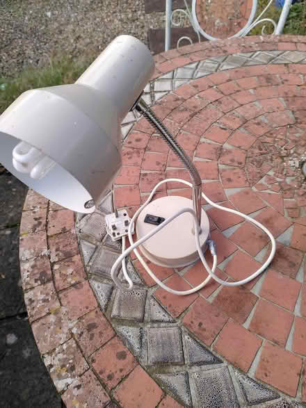 Photo of free Dog lead, harness. Table lamp (Alcombe) #2