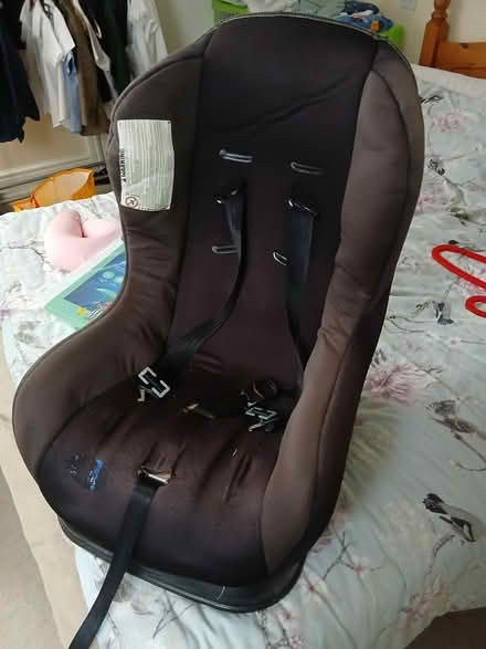Photo of free Toddler car seat (Longden/Shrewsbury) #1