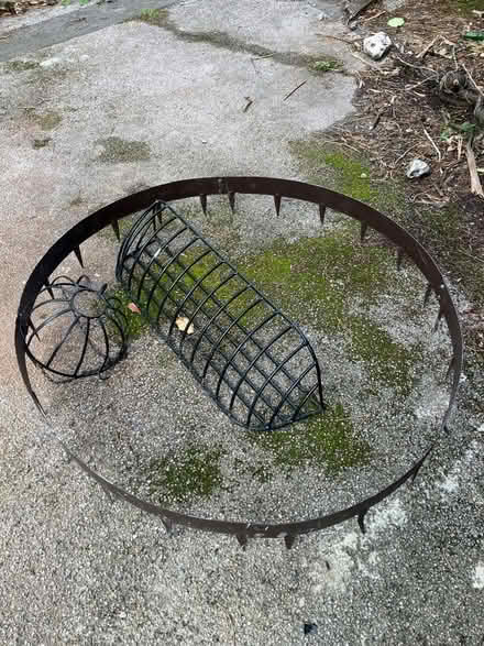 Photo of free Garden tree ring (Newton Abbot TQ12) #1