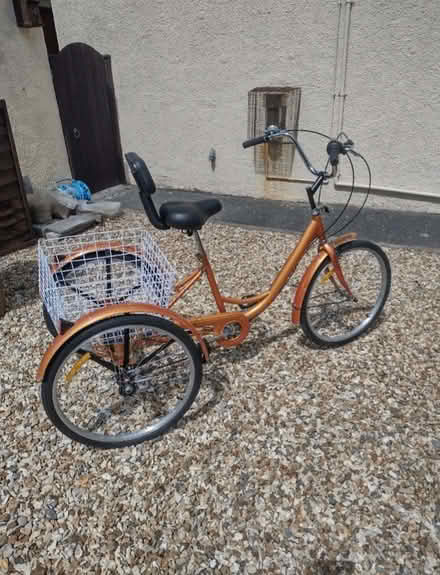 Photo of free Adult tricycle (Ruislip HA4) #2