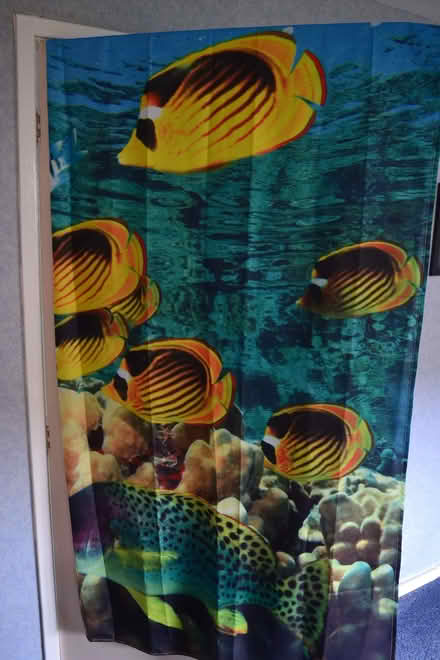 Photo of free Shower curtain and hooks (Glenrothes KY7) #1