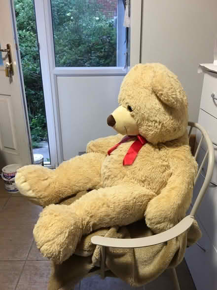 Photo of free Large Teddy Bear, child’s Soft Toy (Liverpool L6) #2