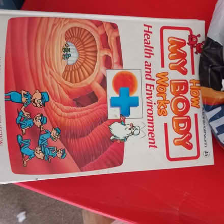 Photo of free how my body works books & Billy bumbles audi (Pershore WR10) #2