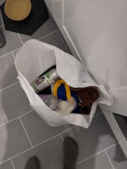 Photo of free Bag of dog donations (Holborn WC1N) #1
