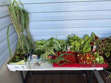 Photo of free Freshly picked vegetables (organic) (Fair Lawn, NJ) #1