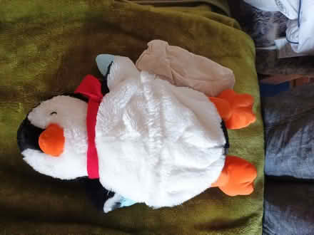 Photo of free Microwave heated comforter (Teddington TW11) #2