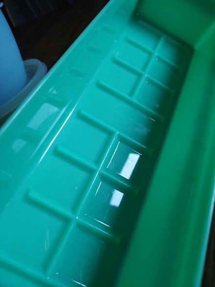 Photo of free Celery Keeper (Odenton) #3