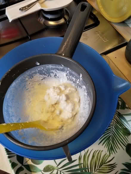 Photo of free Milk kefir grains (New Catton NR3) #1