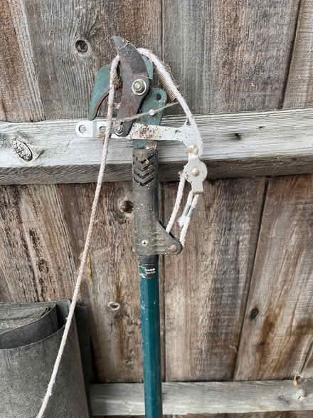Photo of free Looper - telescopic (Wymondley Park SG4) #1
