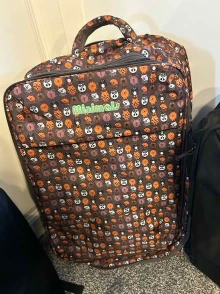 Photo of free 3 travel bags - 1 of is a backpack (S35 Chapeltown) #3