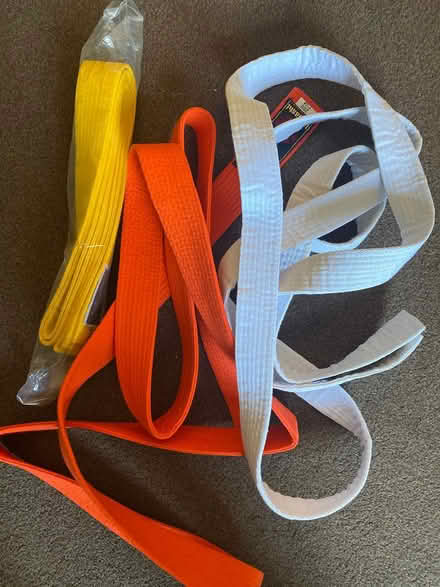 Photo of free Martial arts belts (Crookes S10) #1