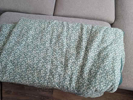 Photo of free Green Blanket (Union Square) #2