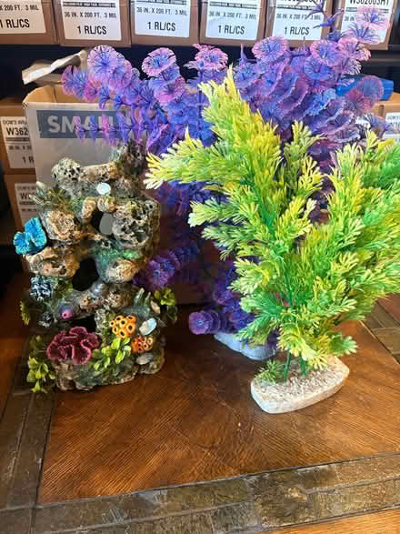 Photo of free Fish tank itrms (Mountainside, NJ) #2