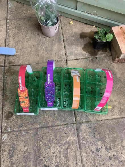 Photo of free Seedling trays x4 (Emsworth PO10) #1