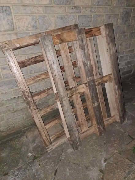 Photo of free pallet (Upper Weston) #1