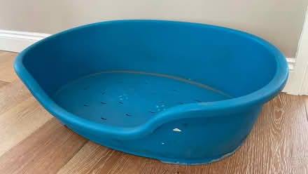 Photo of free Dog Basket (Costessey NR8) #1