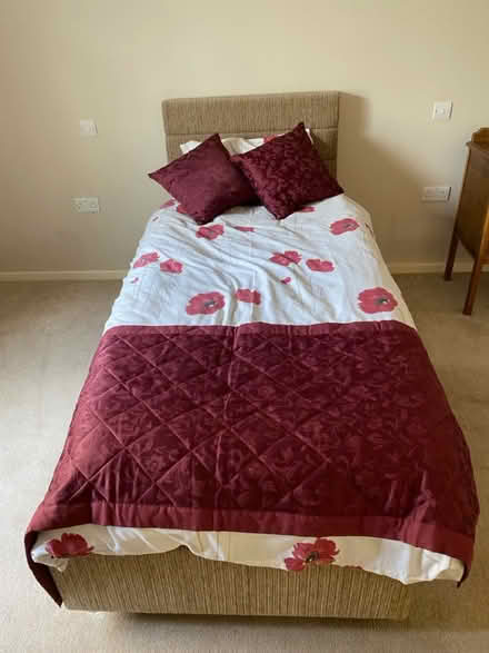 Photo of free Electric bed (Cheddar) #2