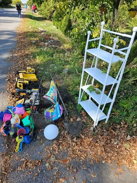 Photo of free Shelves and toys - at the curb (Near the experimental farm) #1